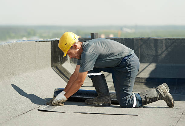 Best Cellulose Insulation in Ham Lake, MN